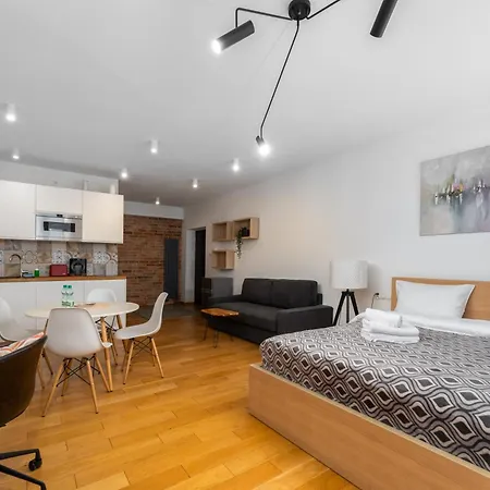 Starowislna 14 Downtown By Bookinghost * 克拉科夫