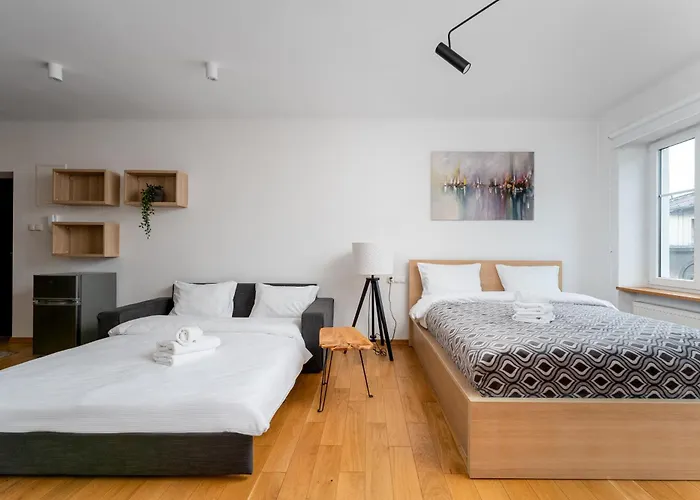 Starowislna 14 Downtown By Bookinghost 公寓